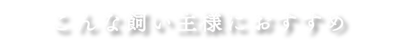 タイトル